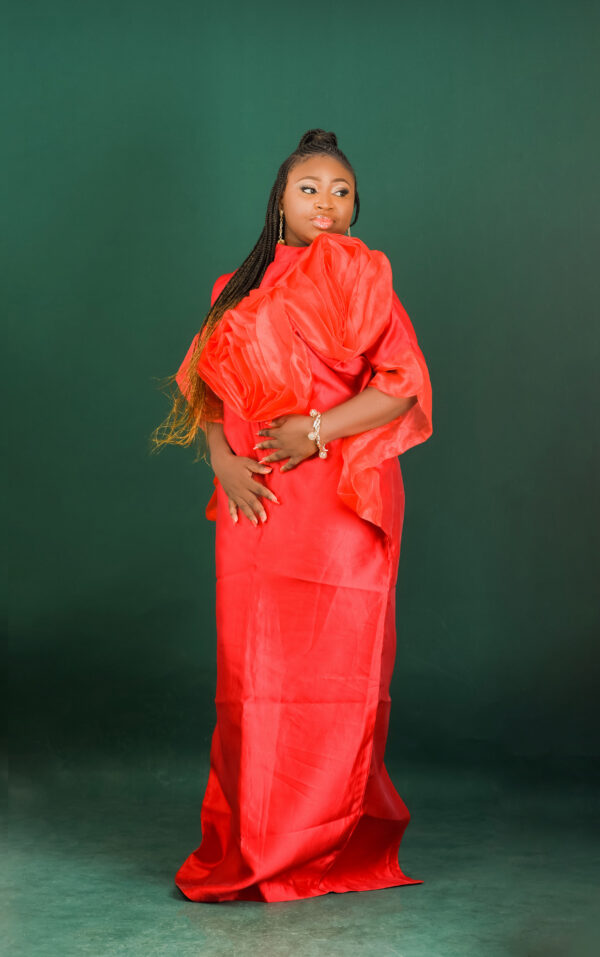 Luxurious Butterfly Boubou - Image 10